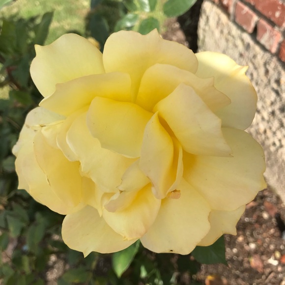 Sandy, POSH AMBASSADOR and POSH MENTOR! - Picture 1 of 5